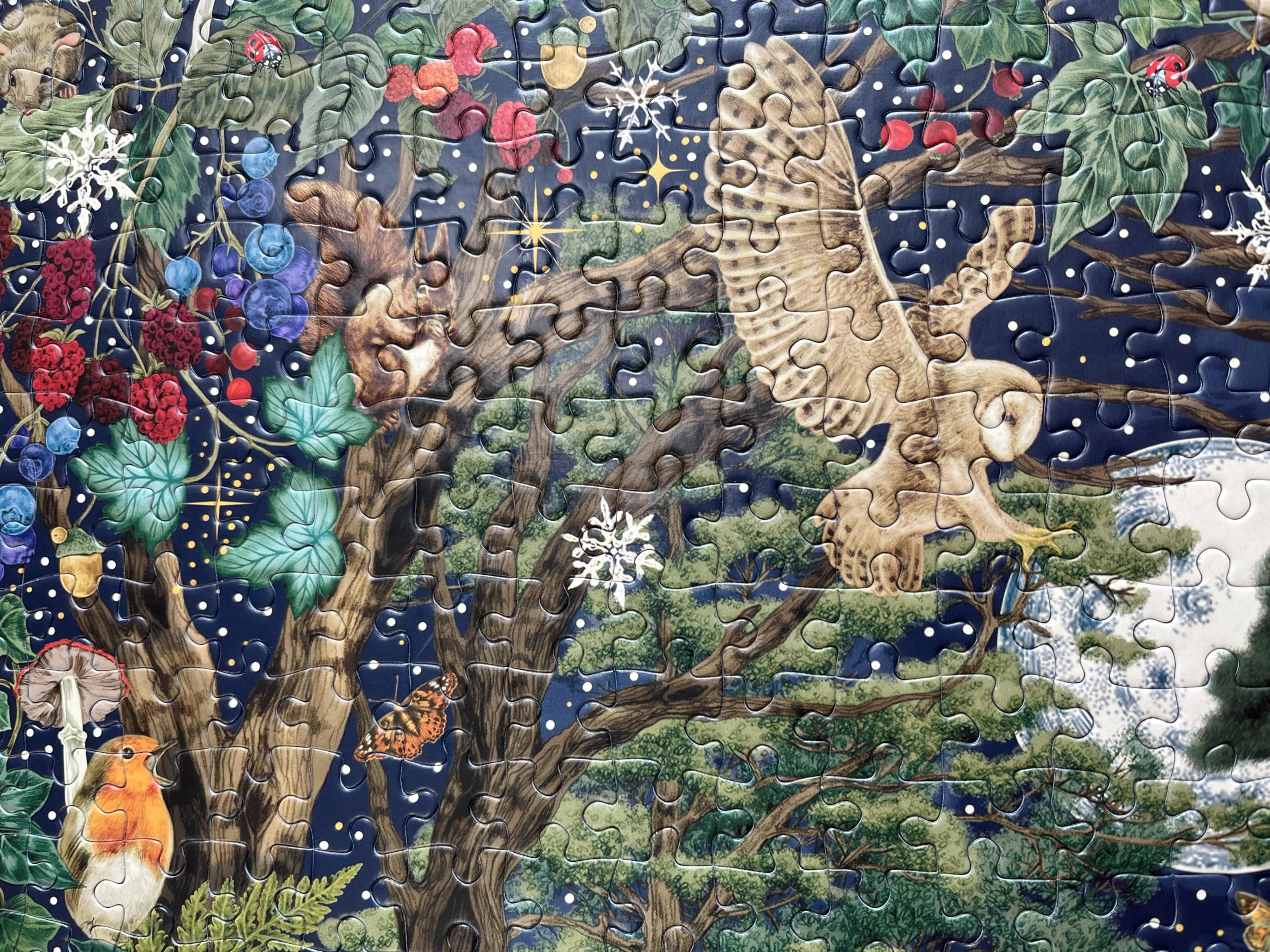 Amazon.com: Gibsons The Art File Into The Forest 1000 Piece Jigsaw